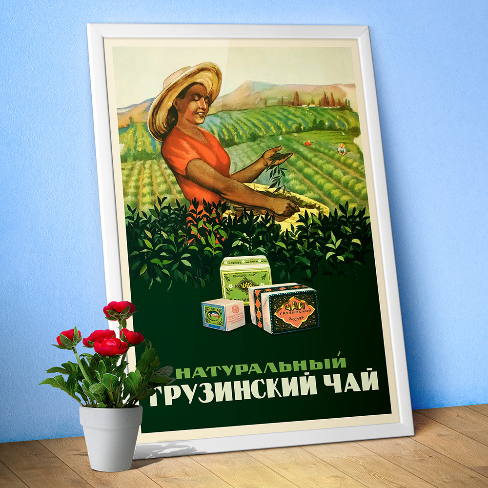 Georgian tea, USSR, 1956 — Soviet vintage tea poster, vintage tea print